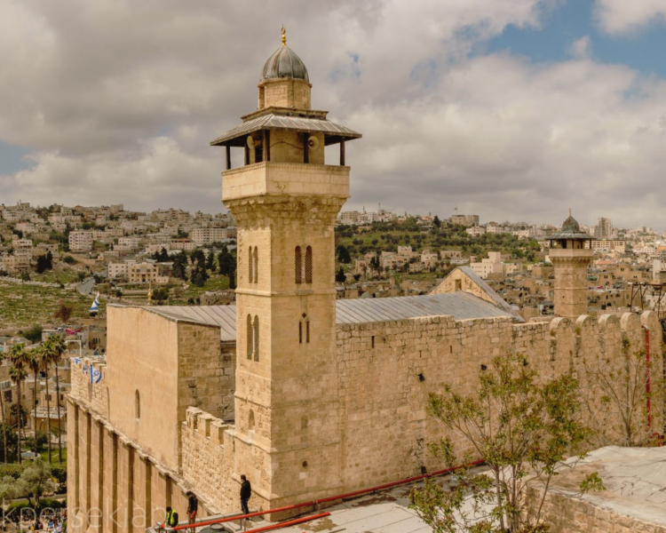 قد يعلن الرئيس دونالد ترامب اعتراف الولايات المتحدة بدولة فلسطين خلال القمة العربية في السعودية