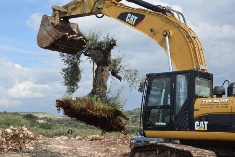 صندوق الثروة النرويجي ينسحب من مجموعة كاتربيلر بسبب حرب غزة