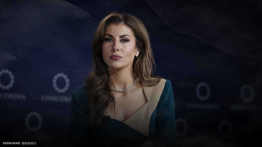 المبعوثة الأميركية إلى لبنان ترتبط برجل أعمال لبناني.. فما القصة؟